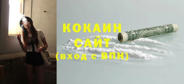 сатива Покачи
