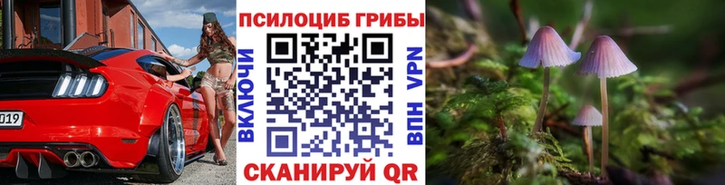 Галлюциногенные грибы мицелий  Новоалтайск 