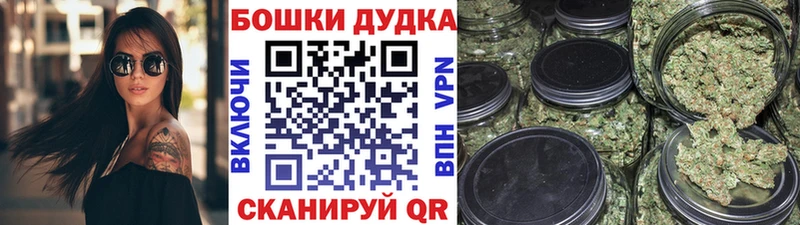 Бошки марихуана Ganja Новоалтайск